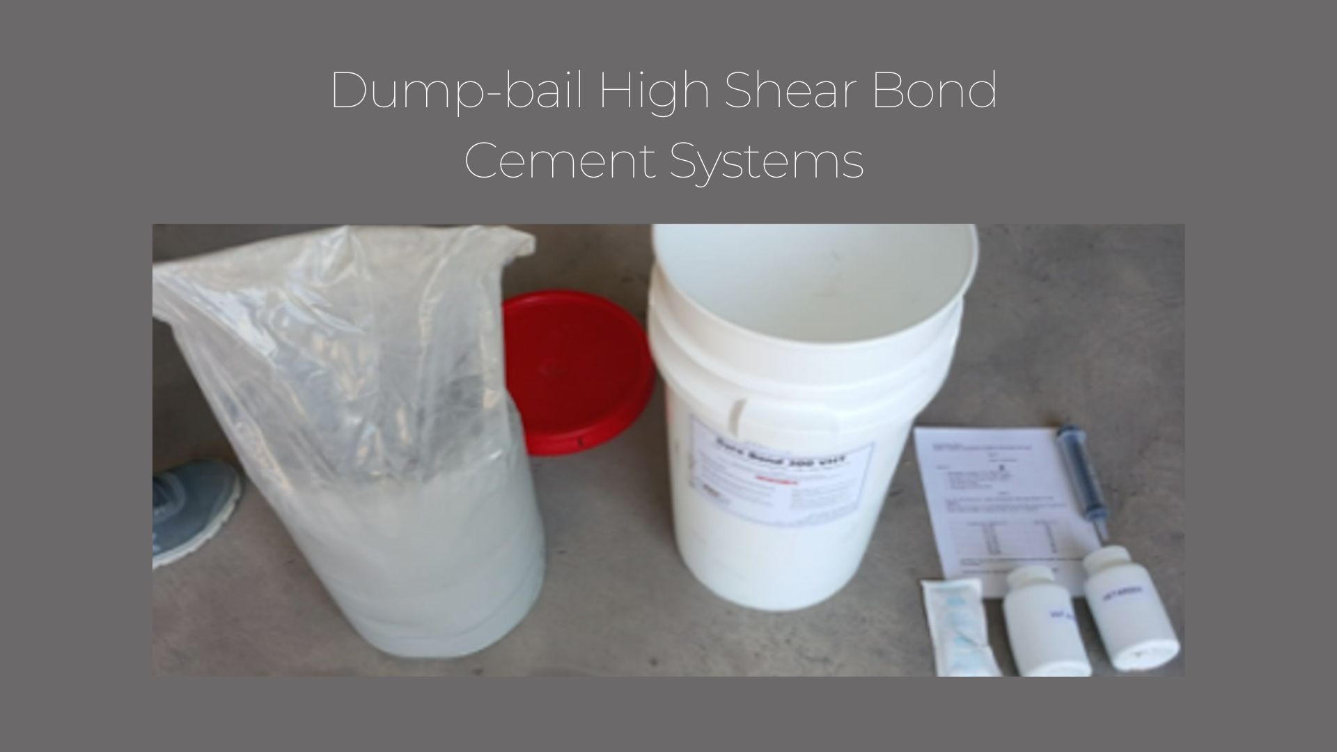 slide picture of DFI INDONESIA (2)w